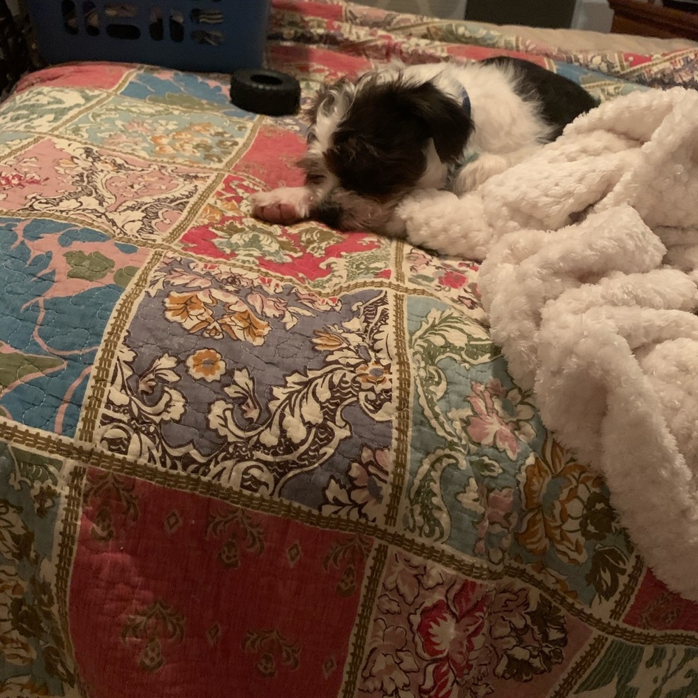 Meet your Posher, Cathy